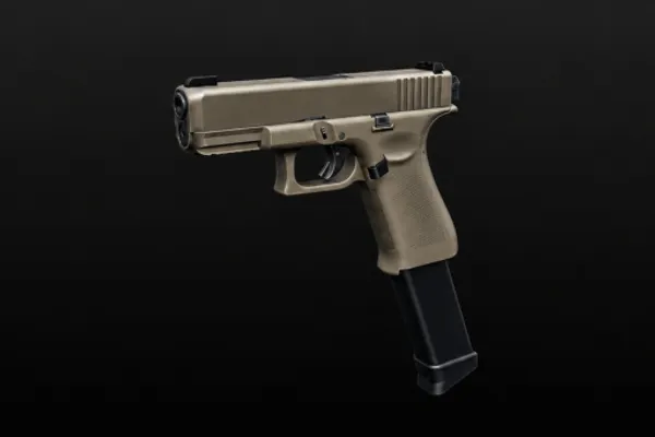REALISTIC HOME DEFENSE